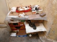 sie geht das alles nichts an