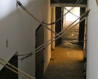 der Weg des Stiers in die Arena