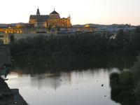 abendlicher Blick auf die Mezquita