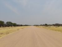 Rush Hour in Namibia