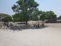 Holzmarkt der Kavango Völker