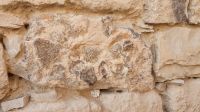 Jordanien, Kerak, Fossilien im Mauerwerk der Kreuzritterburg