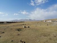 am Ufer des Sonkul-Sees 