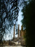 Landschaftsimpression....