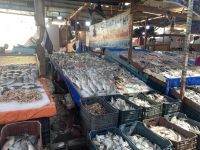 Fischmarkt in Hurghada