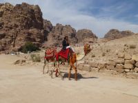 Und immer wieder ziehen malerische Motive vorbei. 