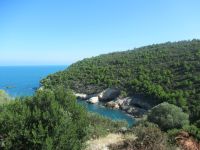 Apulien-Gargano-Grün-Türkis und Felsen.JPG