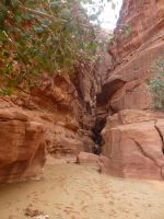 In dieser Schlucht finden sich alte Inschriften und Ritzzeichnungen mit Tieren.