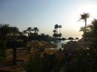 Der erquickende Pool....