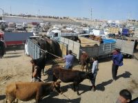 Impressionen aus dem Reisebus auf dem Weg von Samarkand nach Schachrisabs