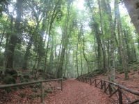 Apulien-Foresta Umbra - Der Wanderweg.JPG