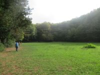 Apulien-Foresta Umbra - die große Wiese.JPG