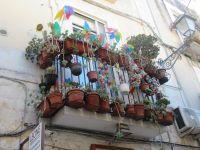 Bari - Balkone, viel Blumen.JPG