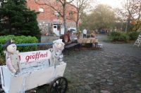 Rügenrundfahrt Weg zum Kap Arkona