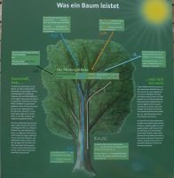 Baumwipfelpfad Lehrpfad