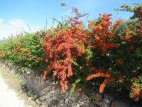 Valle d`Itria  - rot, orange.JPG