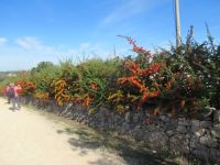 Valle d`Itria - wir können uns nicht satt sehen....JPG