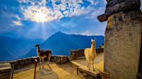 Peru - Machu Picchu 
