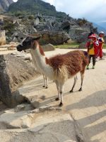 Peru - Machu Picchu 