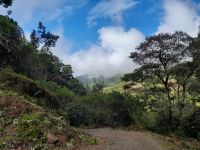 Wanderung in der Savegre Lodge