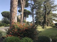 Garten Vatikan