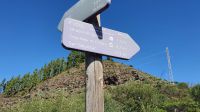 Abstieg vom Garajonay
