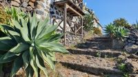 Wanderung Garajonay, Chipute