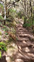 Wanderung El Cedro