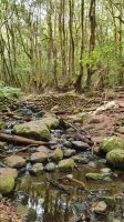 Wanderung El Cedro