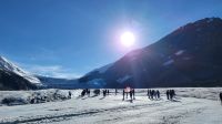 Singlereise Kanada - Athabasca-Gletscher am Columbia Icefield