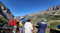 Singlereise Kanada - Logan Pass im Glacier Nationalpark in den USA