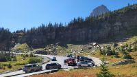 Singlereise Kanada - Logan Pass im Glacier Nationalpark in den USA