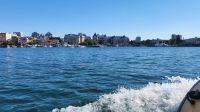 Singlereise Kanada - Victoria auf Vancouver Island