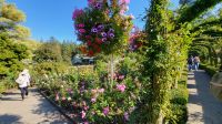 Singlereise Kanada - Butchart Gardens auf Vancouver Island