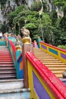 Kuala Lumpur - Batu Höhlen (Treppenaufgang gesäumt von Langschwanzmakaken-Affen)