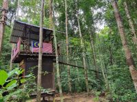 Taman Nagara - Baumwipfelpfad (Canopy Walkway)