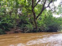 Taman Nagara - Bootsfahrt Lata Berkoh