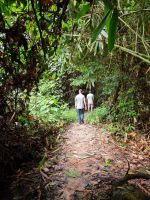 Taman Nagara - Wanderung Lata Berkoh
