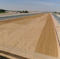 Kamelrennstrecke in Dubai