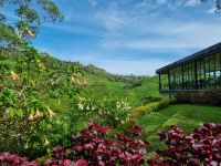 Cameron Highlands - BOH Teeplantage