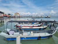Insel Penang - Georgetown (Rikschafahrt mit Stopp am Wasserdorf Chew Jetty)