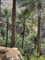 100 Misfat Al Abriyeen