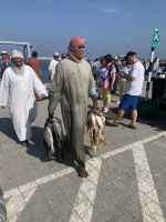 353 Barka Fischmarkt