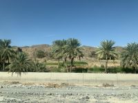 368 auf dem Weg nach Rustaq