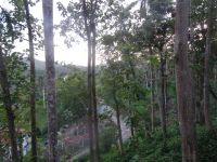 Las Terrazas