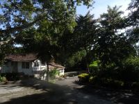 In Hemingways Finca Vigia