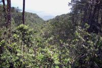 In den Bergen der Sierra Maestra