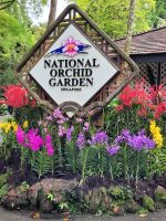 02-009 Singapore bam Tag