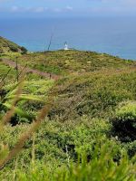 4-002 Ausflug nach Cape Reinga