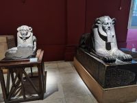 IMG 20221121 121616